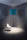 EchoLED UMBRA