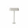 Linear Table Lamp