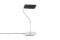 Apex Lamp
