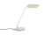 Apex Lamp