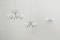 Apollo Wall Sconce