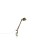 Dedicate Table / Wall Lamp