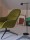 Fiber Lounge Armchair