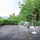 Bertoia Side Chair
