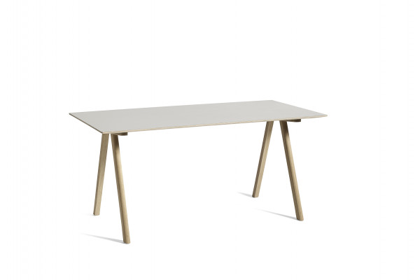 CPH 10 Desk