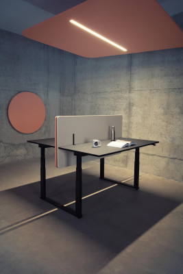 EchoCove DESK