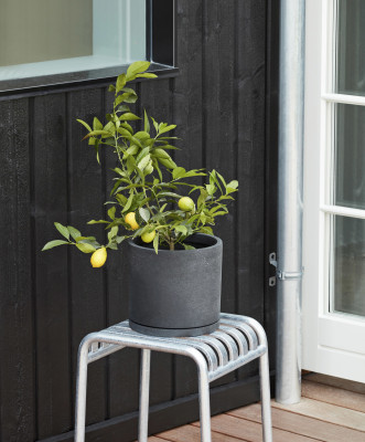 Plant Pot With Saucer