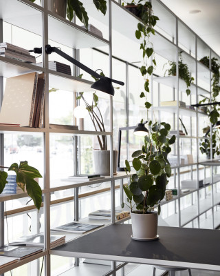 Botanical Family
