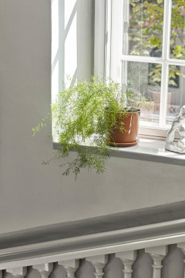 Botanical Family