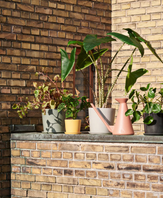 Botanical Family