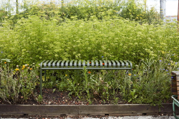 Palissade Bench