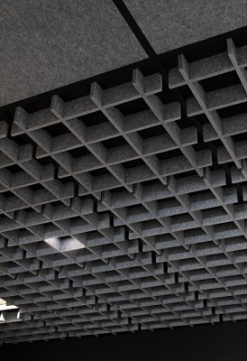 EchoGrid