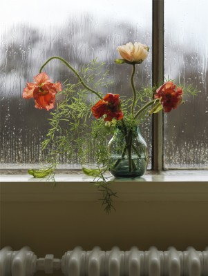 Silent Vase