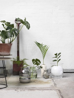 Silent Vase