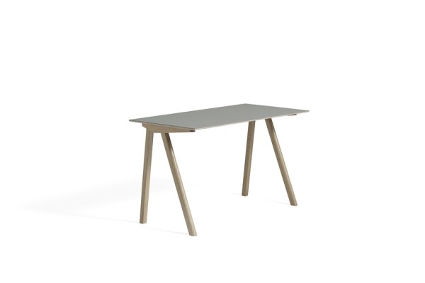 CPH 90 Desk