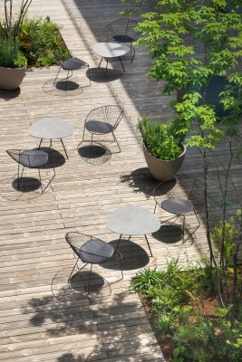 Leaf Lounge Chair