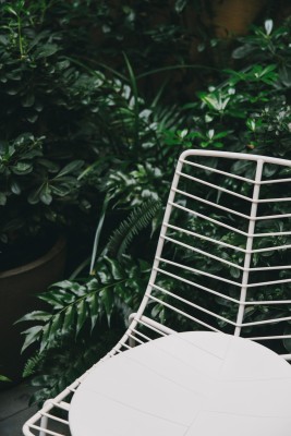 Leaf Chair