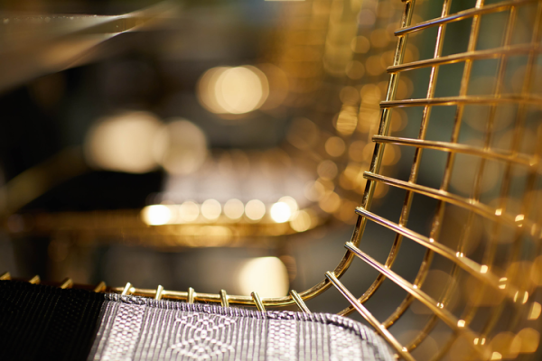 Bertoia Side Chair