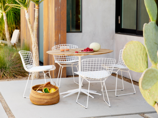 Bertoia Side Chair
