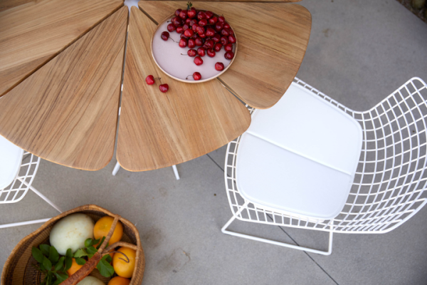 Bertoia Side Chair