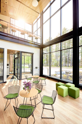 Bertoia Side Chair
