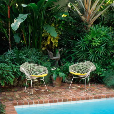 Bertoia Side Chair