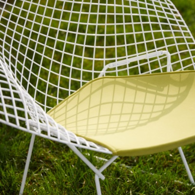 Bertoia Side Chair