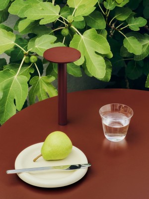 Host Portable Lamp