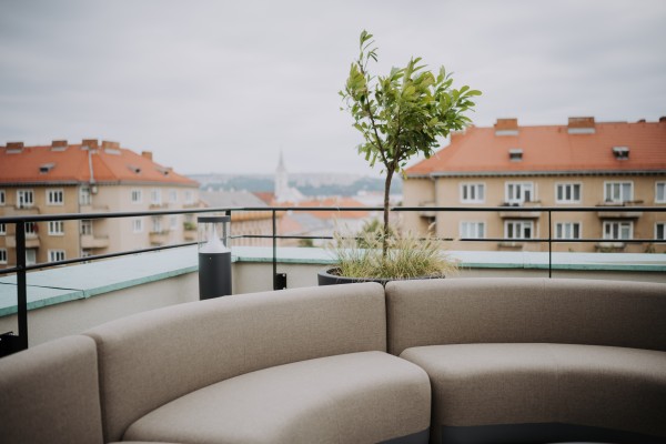 Globální společnost