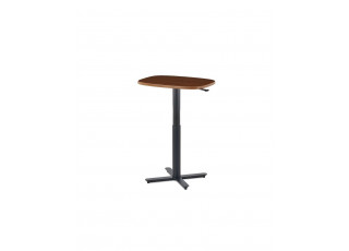 PASSPORT WORK TABLE