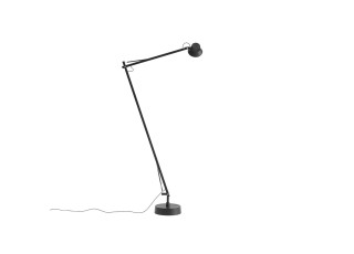 Dedicate Floor Lamp