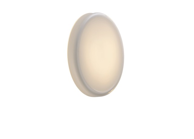 Looped Wall/Ceiling Lamp