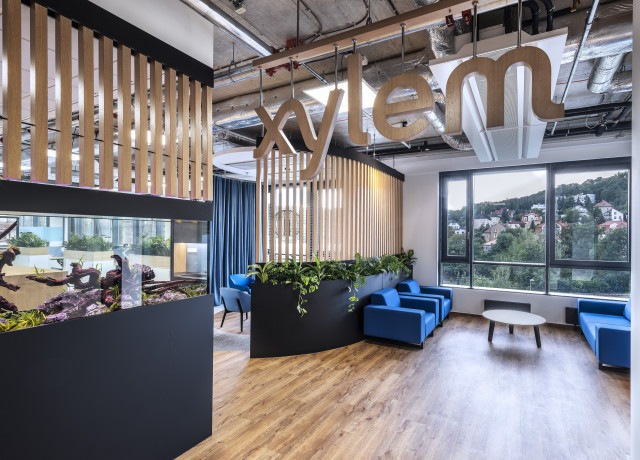 Xylem